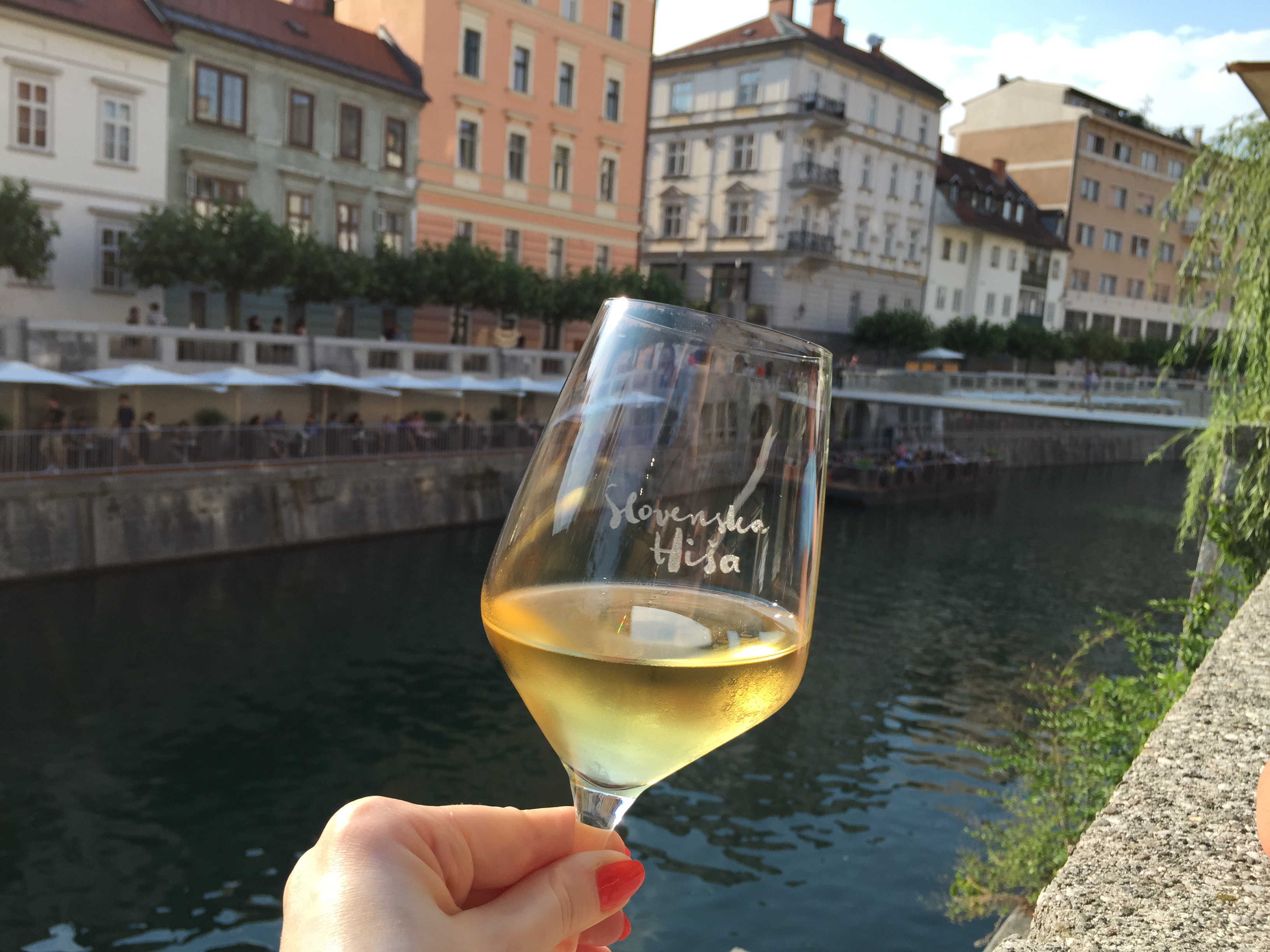 Have a glass of Slovenia's finest at Slovenian house by Ljubljanica river.