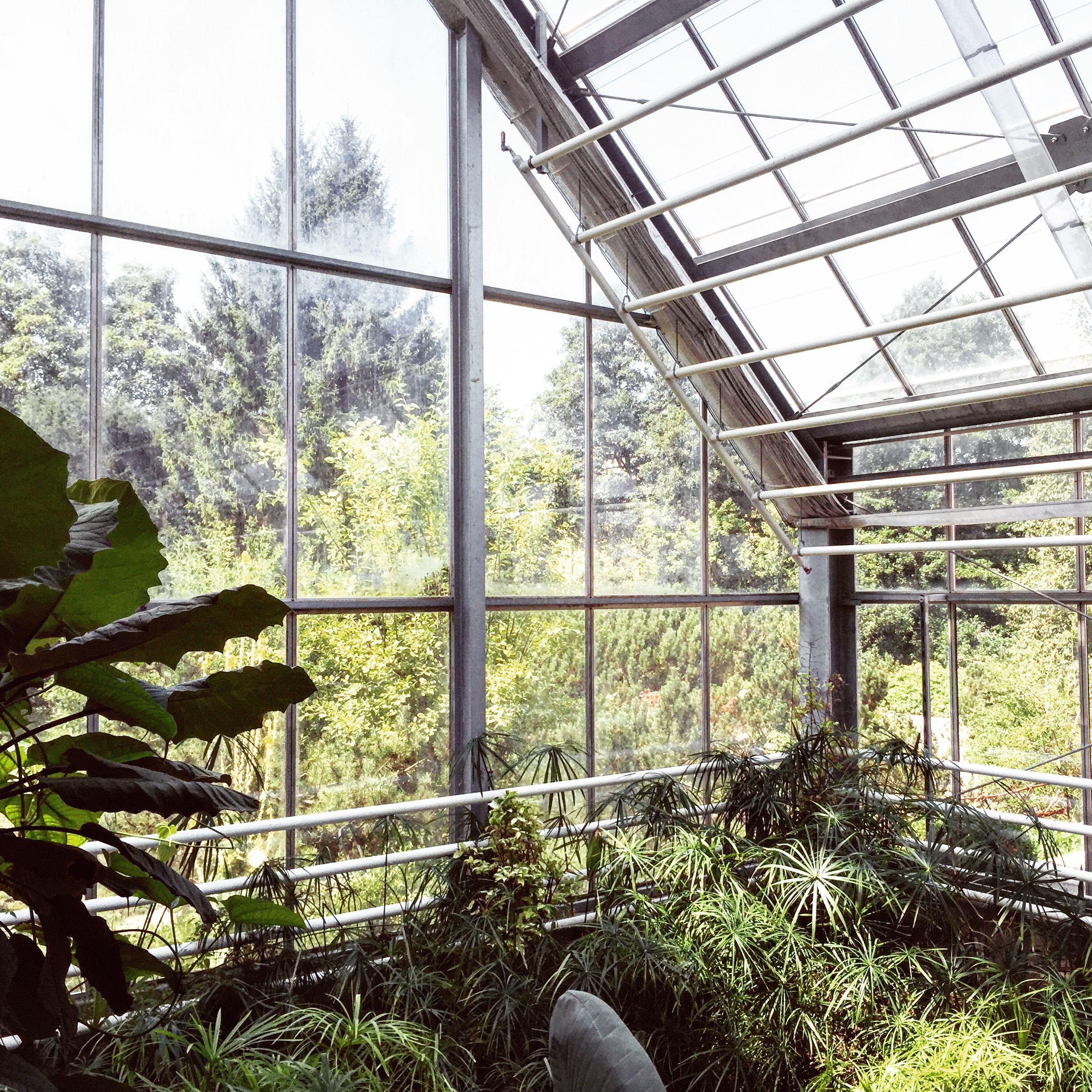 Botanical garden in Ljubljana, Slovenia.