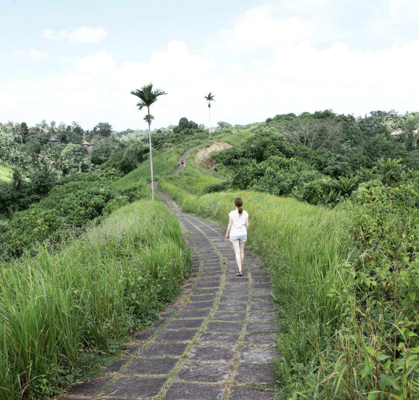 Campuhan Ridge Walk, Ubud, Bali.