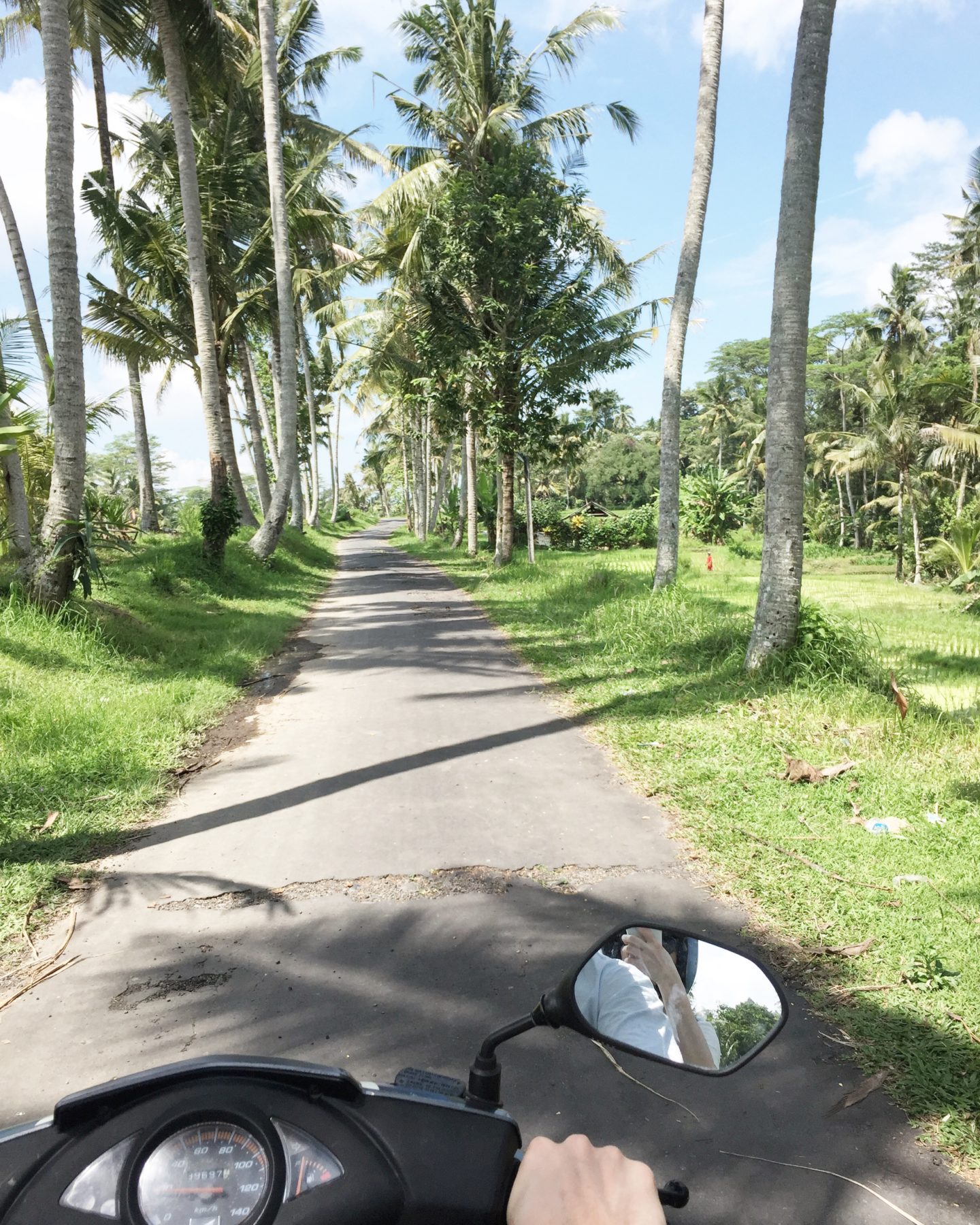 Riding a scooter around Bali is both picturesque and easy. But don't go too fast!