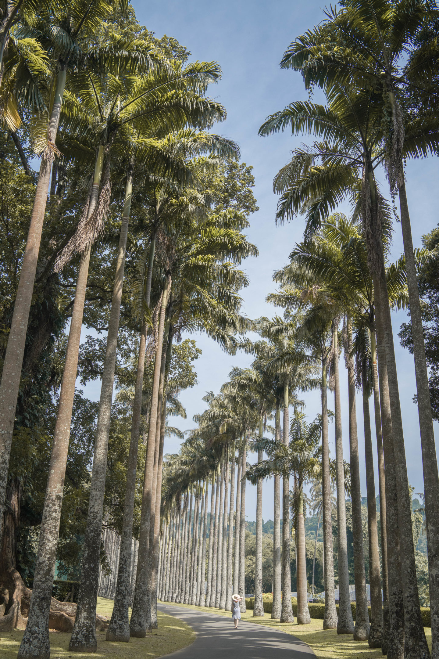 Kandy Botanical Garden