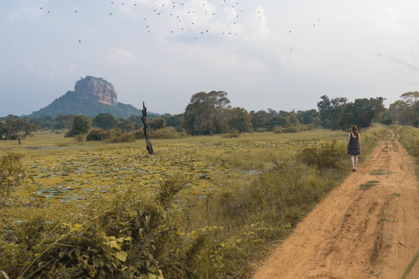 Sigiriya - Beautiful landscape around the famous Lion Rock