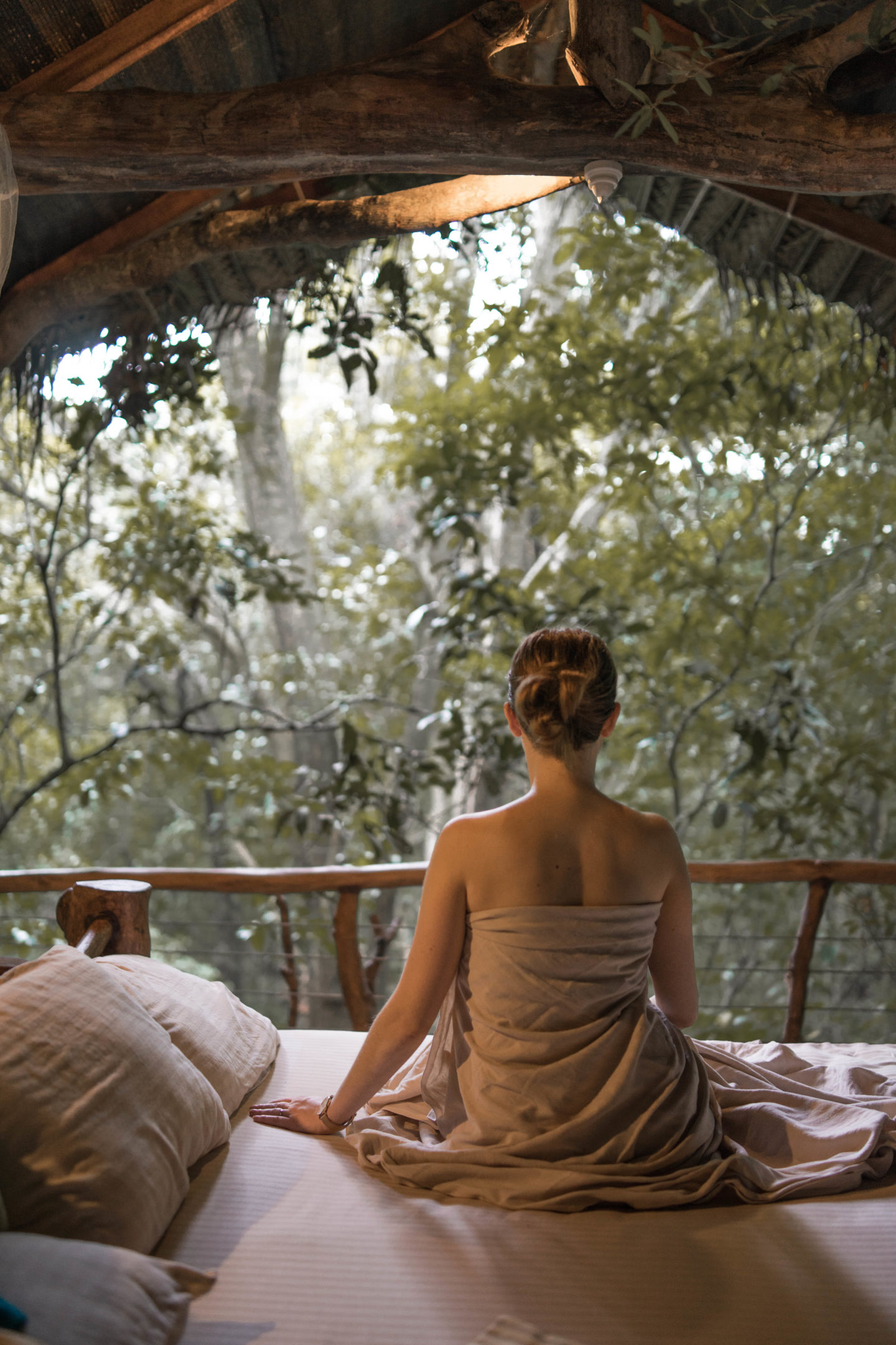 Sigiriya Tree House - Morning View