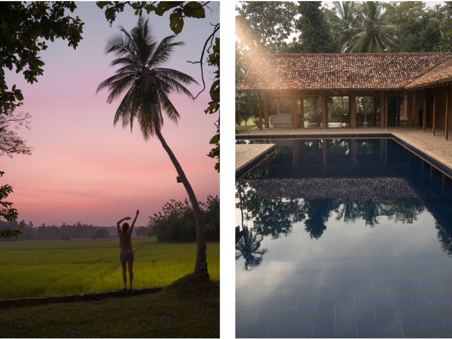 peaceful maya tangalle rice fields swimming pool