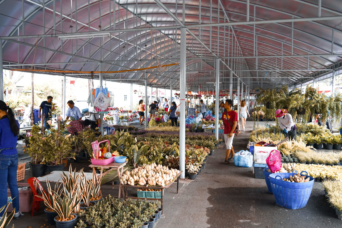 first time in bangkok flower market sunday