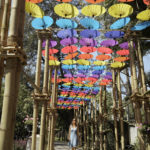 chiang mai park buat hat