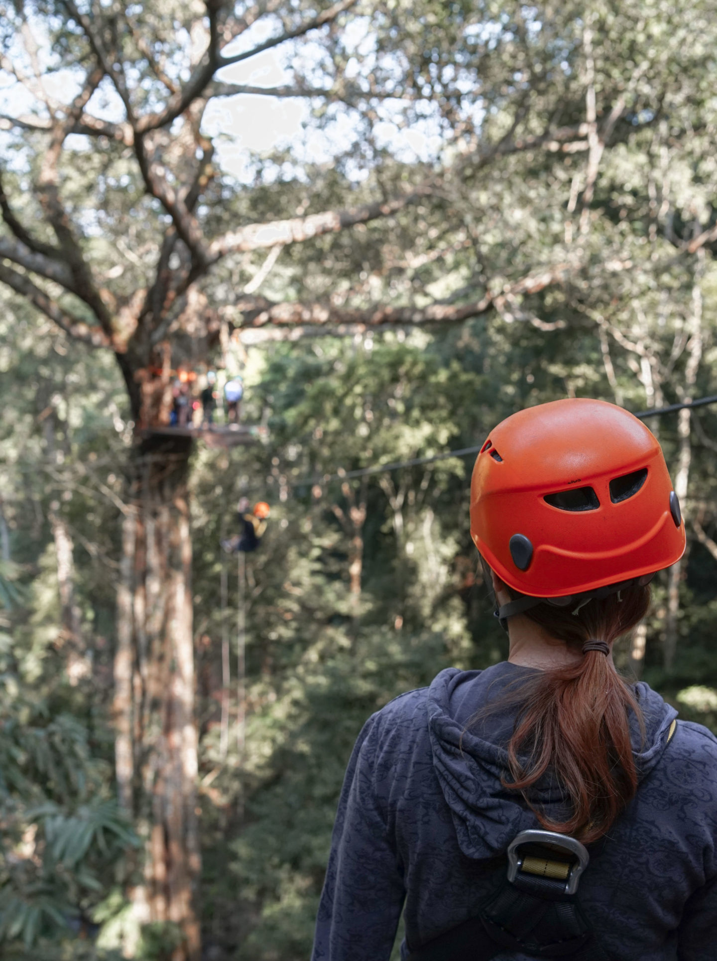 flight of the gibbon andshexplores chiang mai zipline