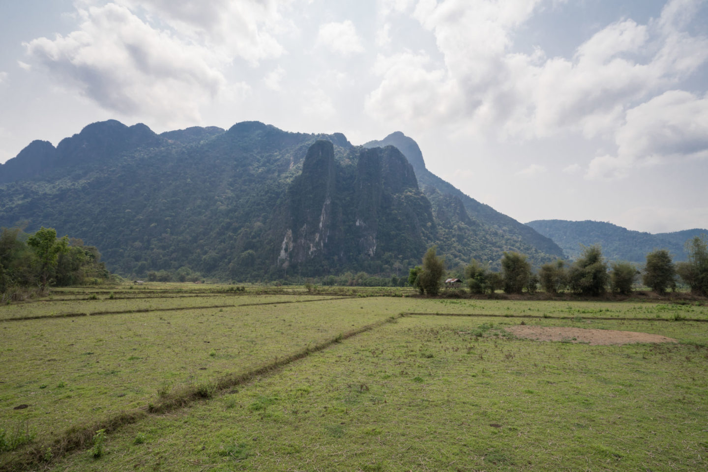 rice terraces in vang vieng laos