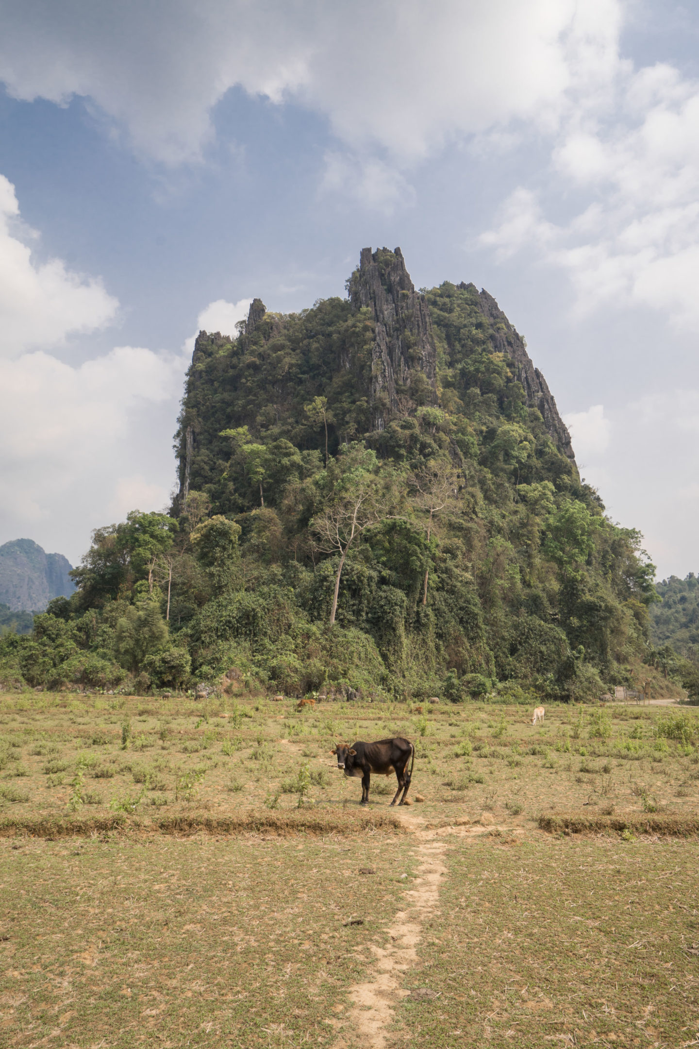 loop vang vieng scooter