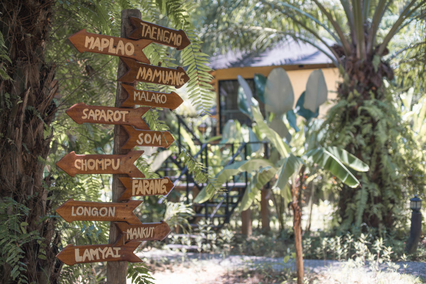 anurak lodge in khao sok national park