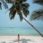 palm tree salad beach on koh phangan island thaiiland,