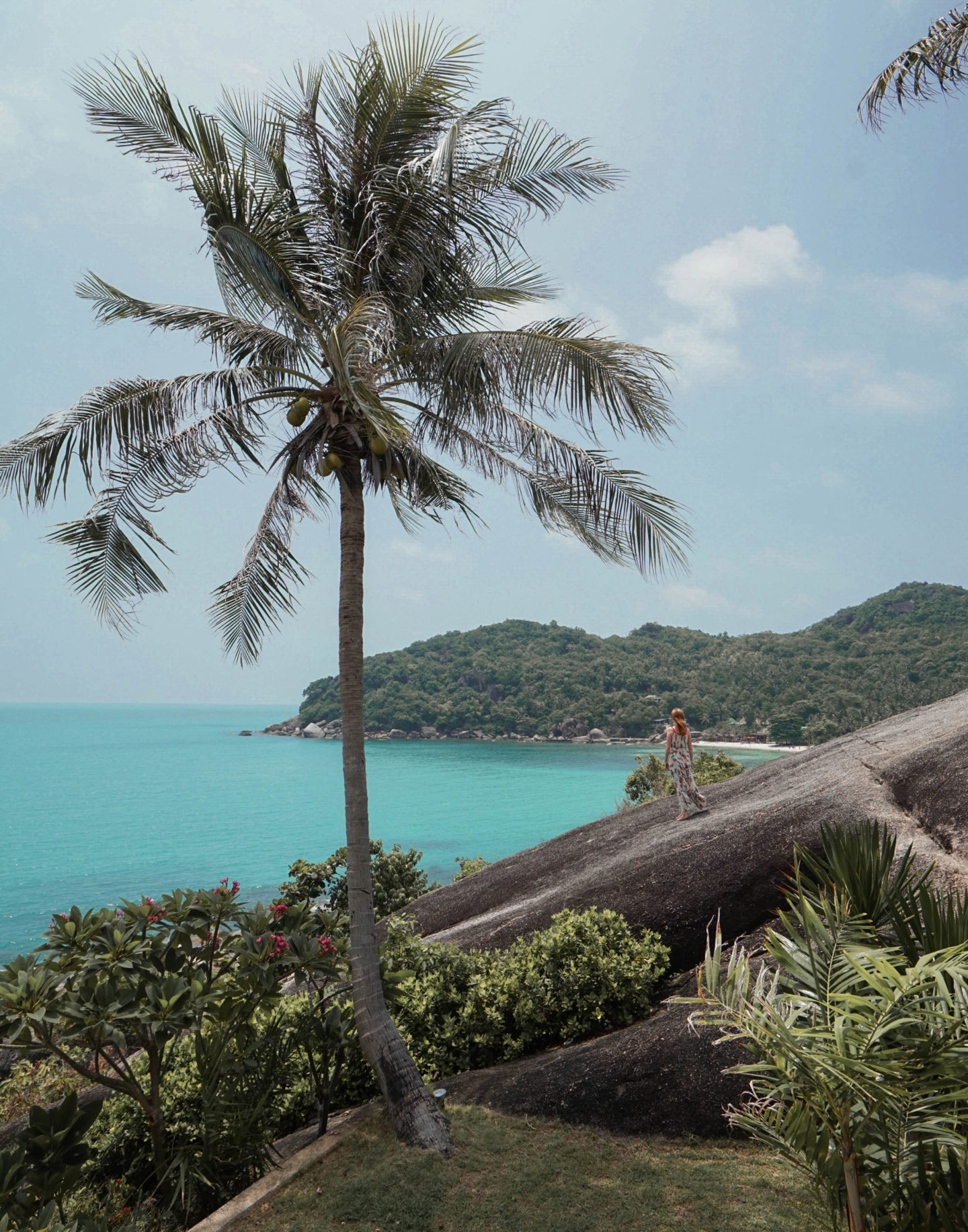 Cliff viewpoint, Koh Samui Palm Trees