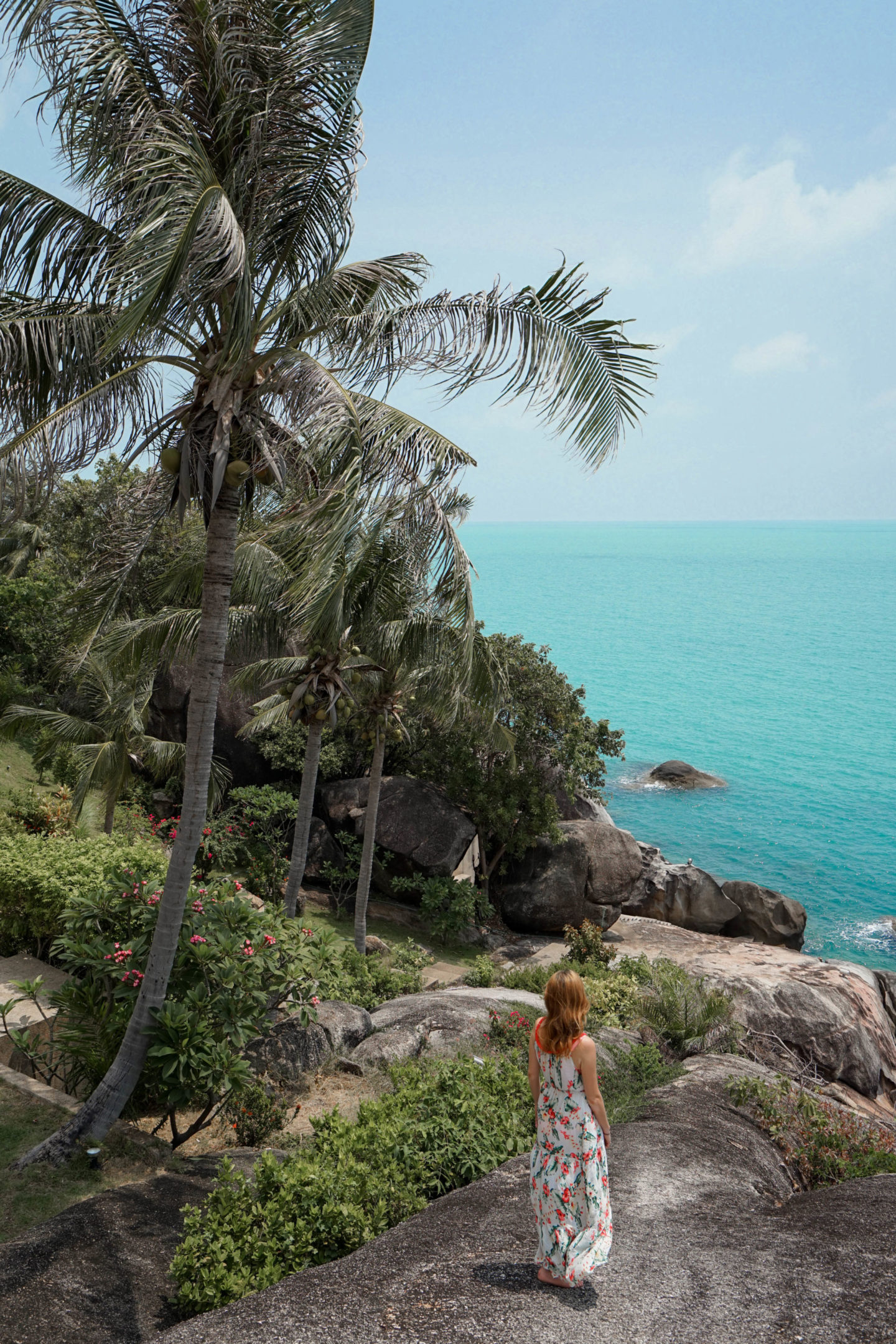 Cliff viewpoint, Koh Samui Palm Trees