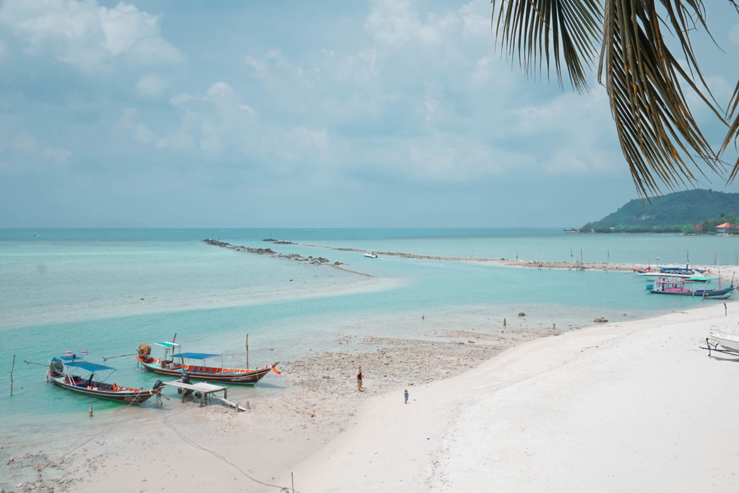 koh samui Palm trees: Viewpoint near reef