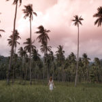 palm trees and sunset on koh samui thailand