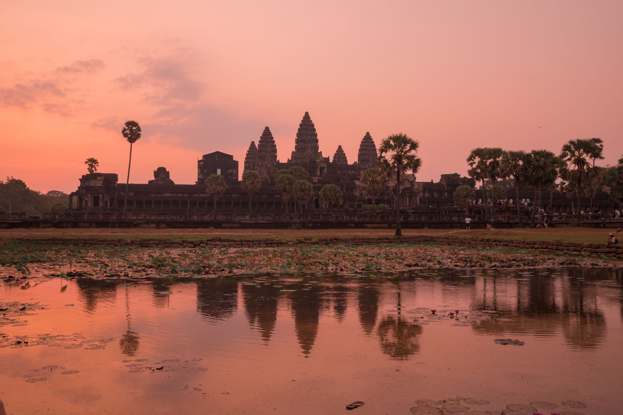 angkor wat at sunrise