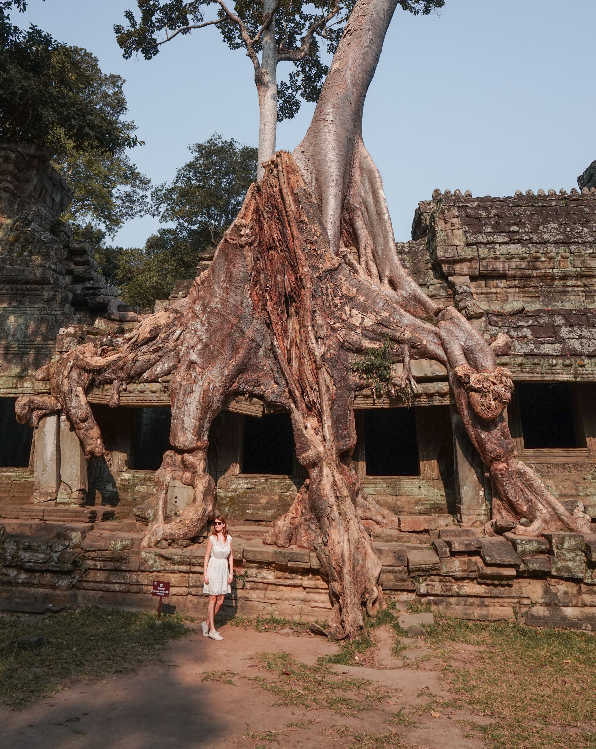 angkor wat in siem reap