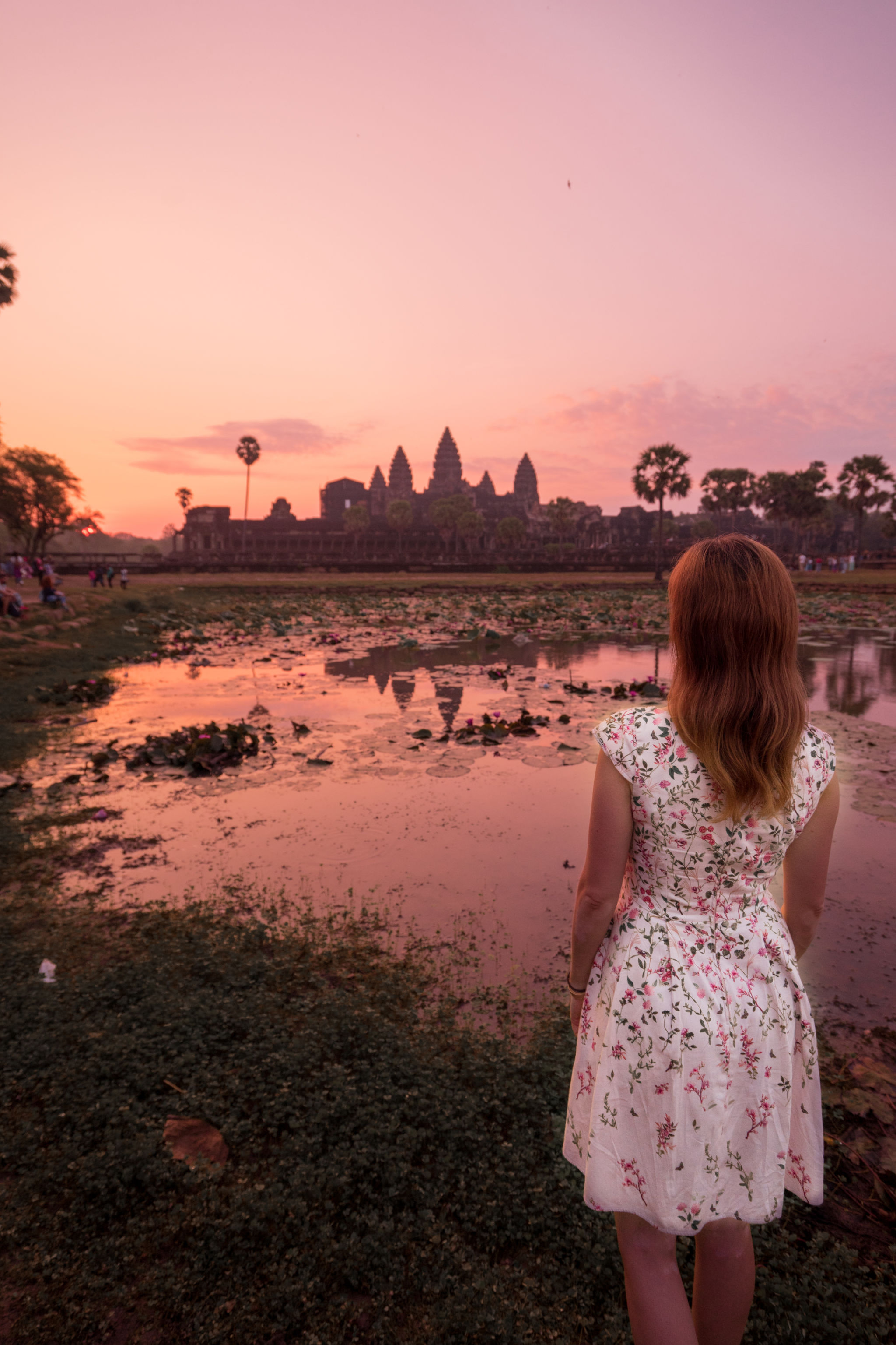 angkor wat at sunrise