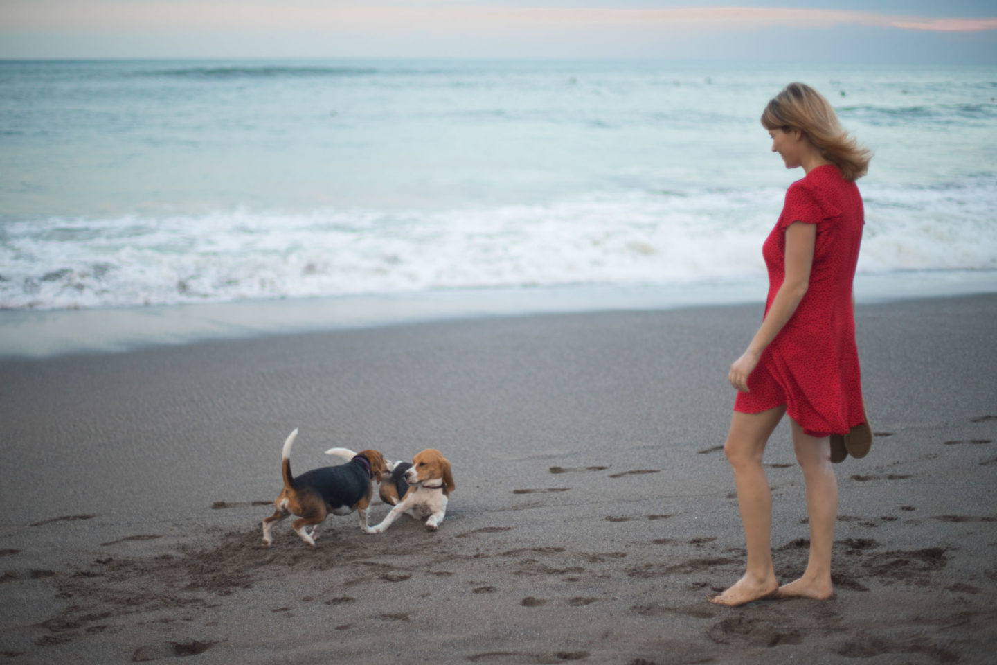 Moving to Canggu - bring your dog to Bali