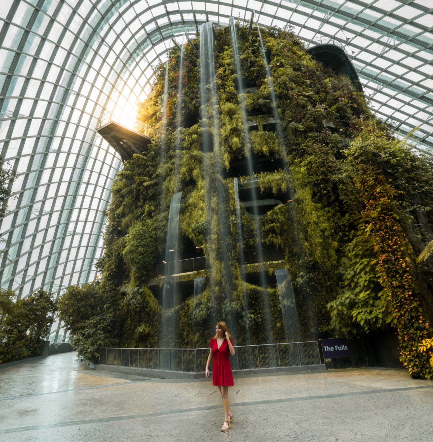 what to do in Singapore when it's raining - Cloud Forest