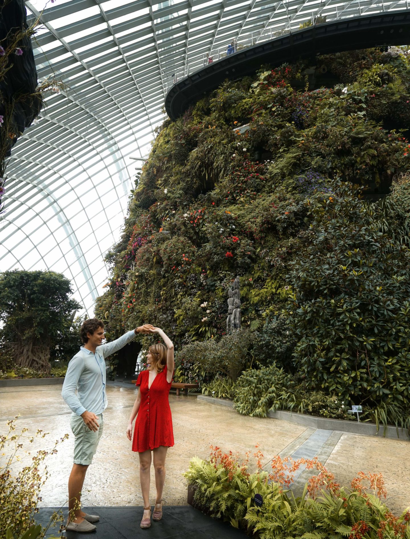 what to do in Singapore when it's raining - Cloud Forest