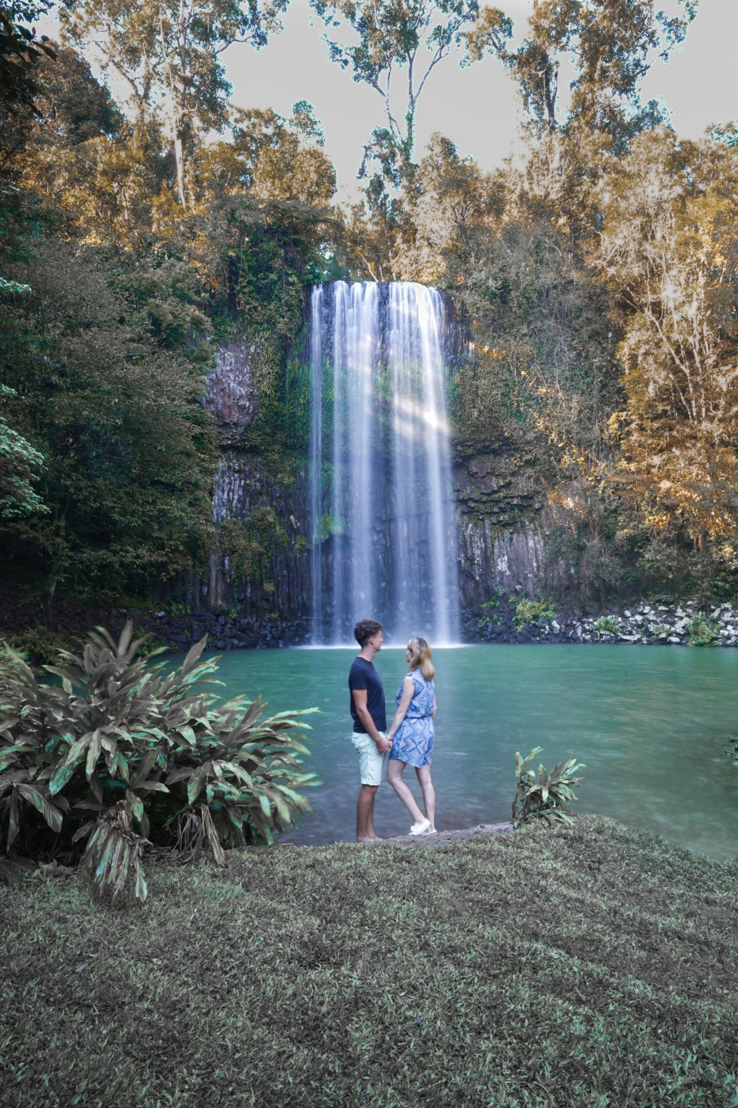 Tropical North Queensland highlights - Millaa Millaa waterfall