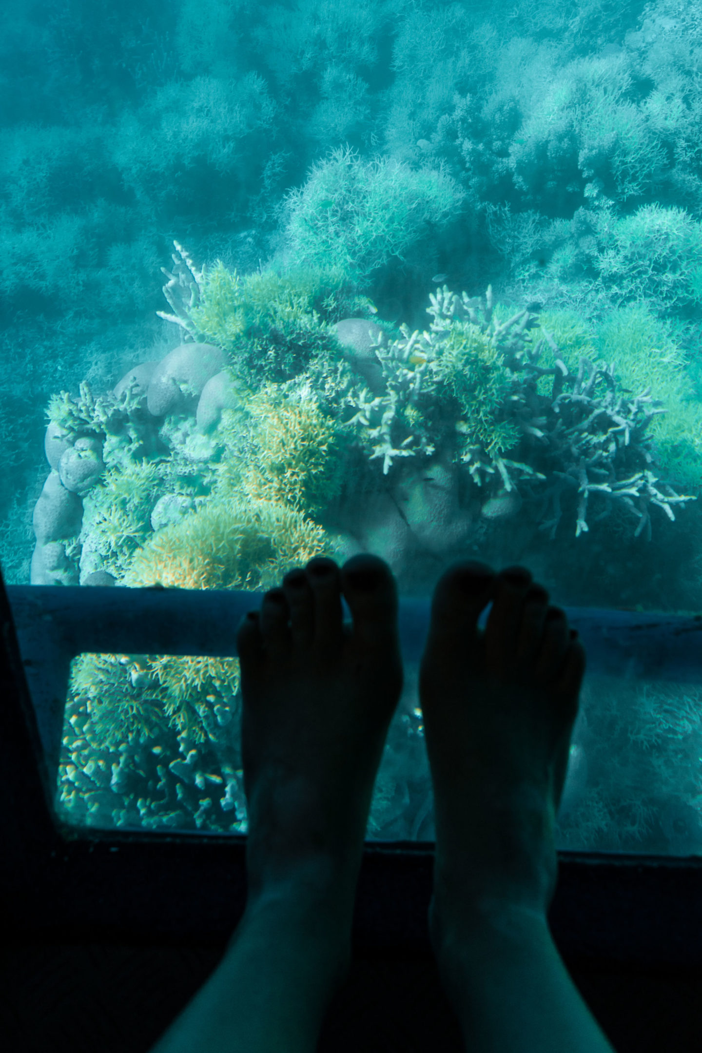 Flying and landing on the Great Barrier Reef and Whitsunday Islands - Underwater