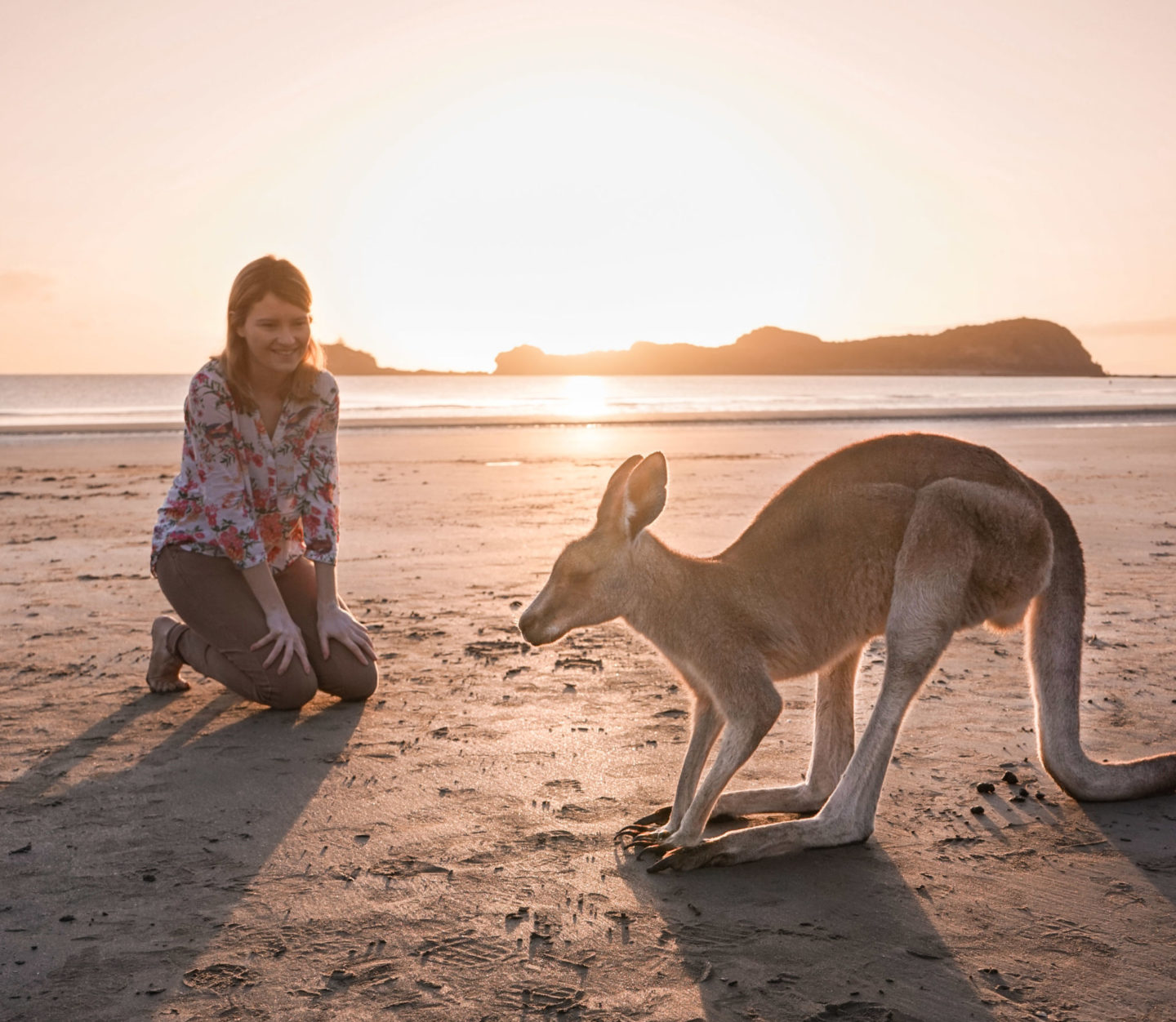 Plan your Australian Roadtrip - See kangaroos on the beach